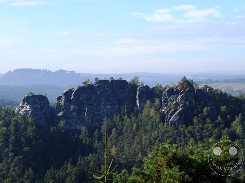Deutschland - Sächsische Schweiz - Dichte Waldlandschaft mit markanten Felsformationen und hügeligem Hintergrund.