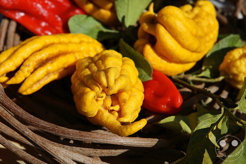 Kawazu - Kirschblüte