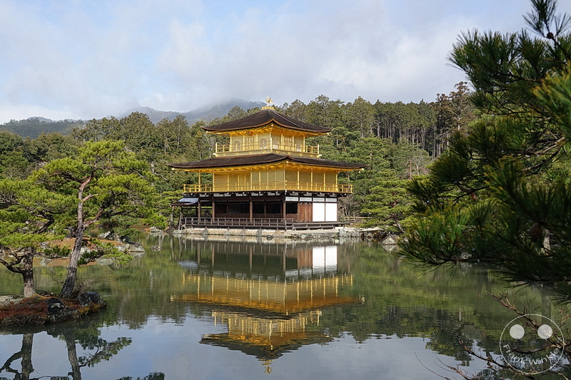Kyoto - Kinkaku-ji - Goldener-Pavillon