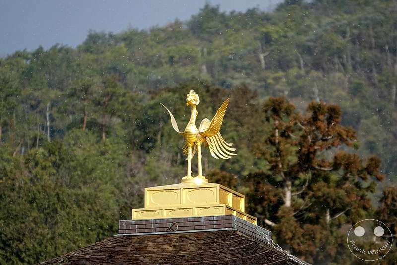 Kyoto - Kinkaku-ji - Goldener-Pavillon