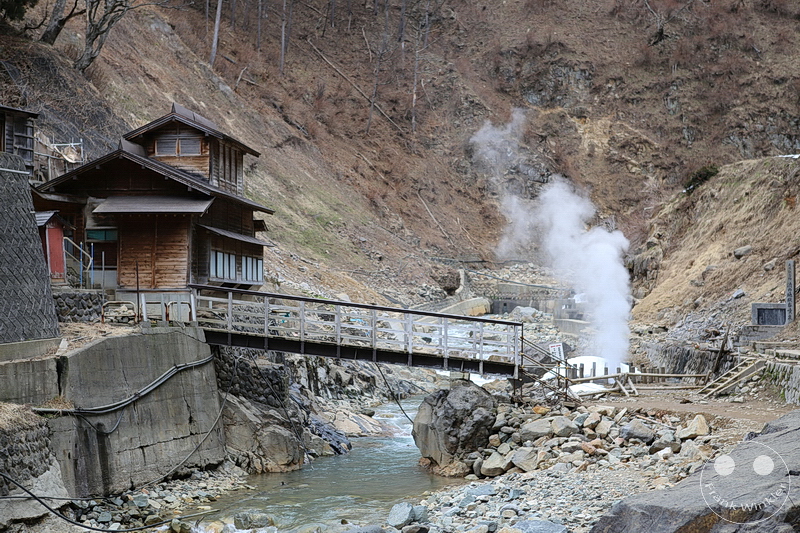 Nagano - Jigokudani Yaen Kōen - Snow Monkey Resorts - Schneeaffen