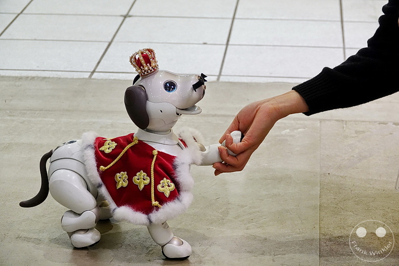 Tokyo - Ginza Sony Park - Aibo