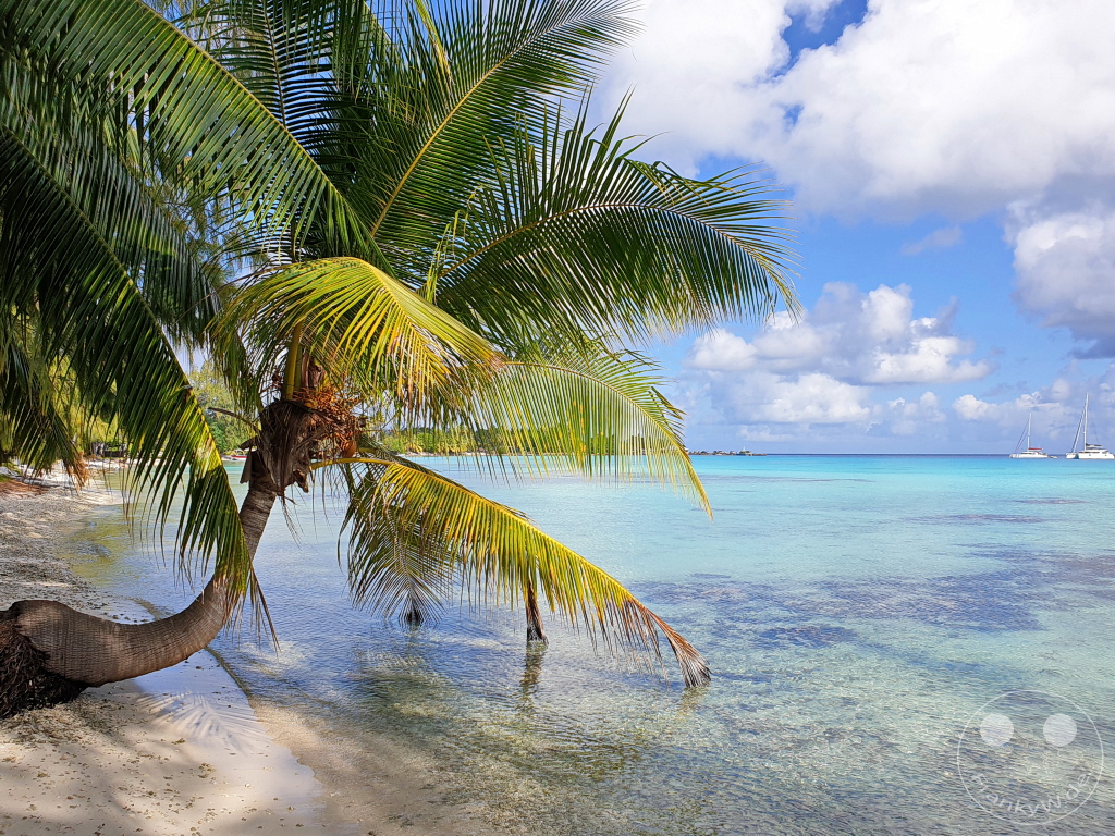 French Polynesia - Rangiroa - Lagune view