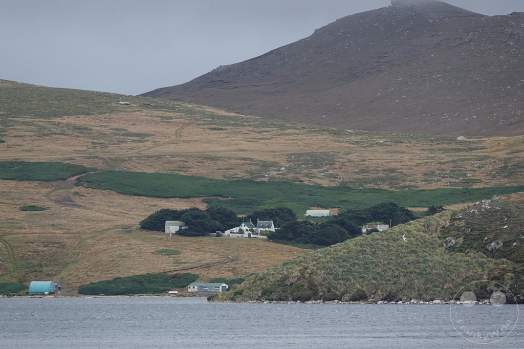 Falklandinseln (Malvinen) - West Point