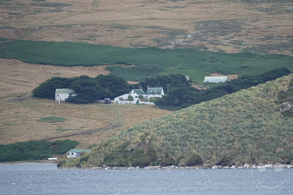 Falklandinseln (Malvinen) - West Point