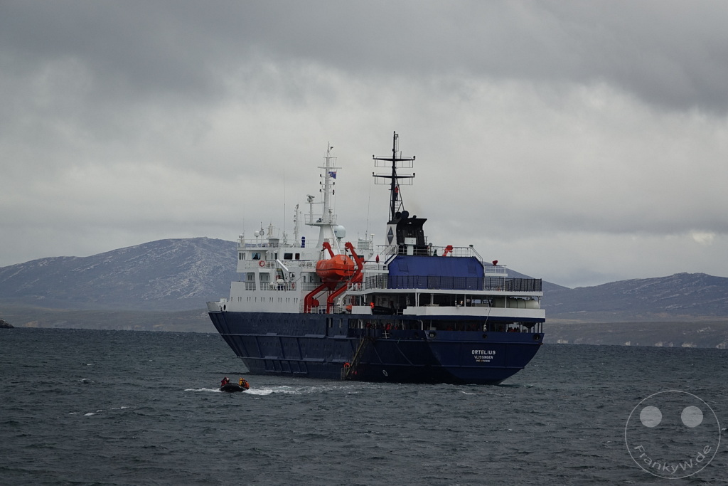 Falklandinseln (Malvinen) - Carcass Island