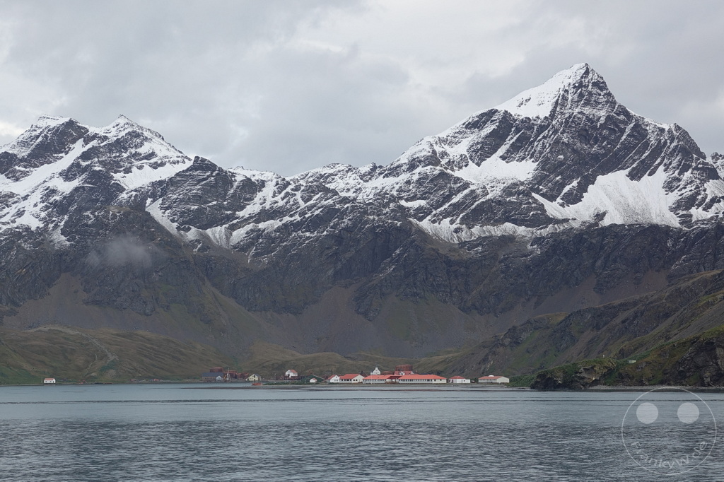 Südgeorgien und Südliche Sandwichsinseln - King Edward Cove