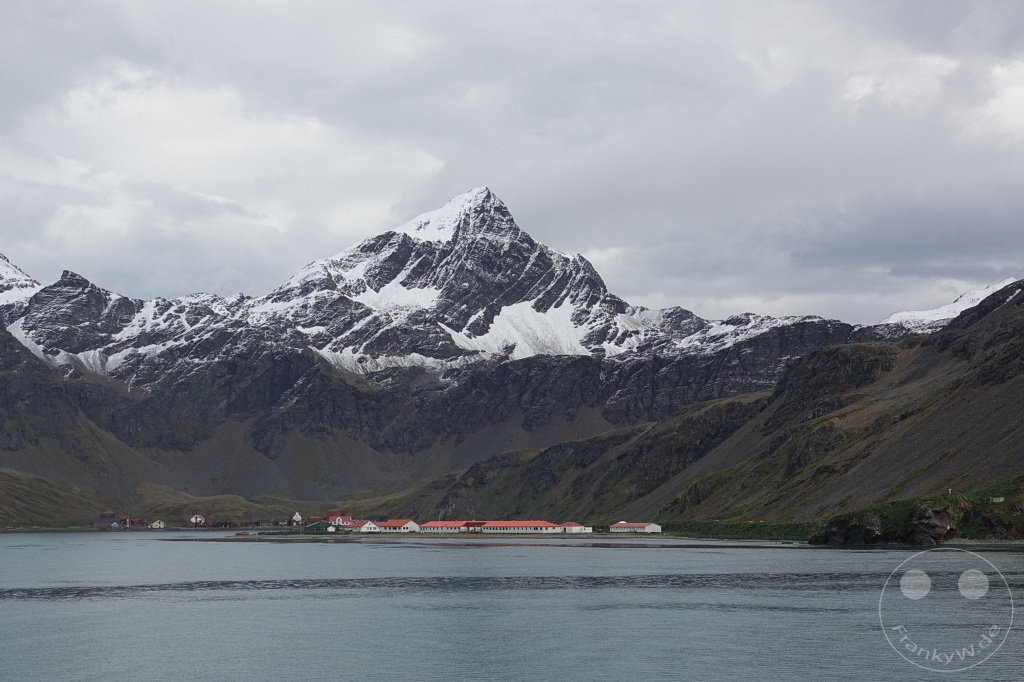 Südgeorgien und Südliche Sandwichsinseln - King Edward Cove