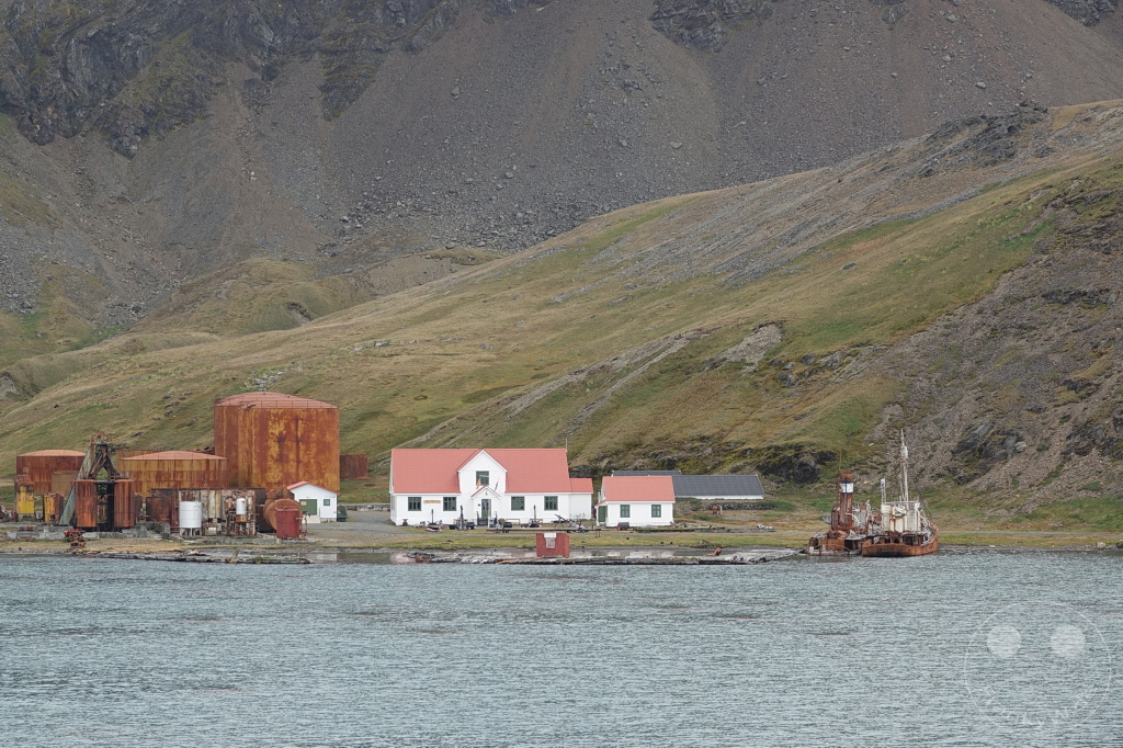 Südgeorgien und Südliche Sandwichsinseln - Grytviken