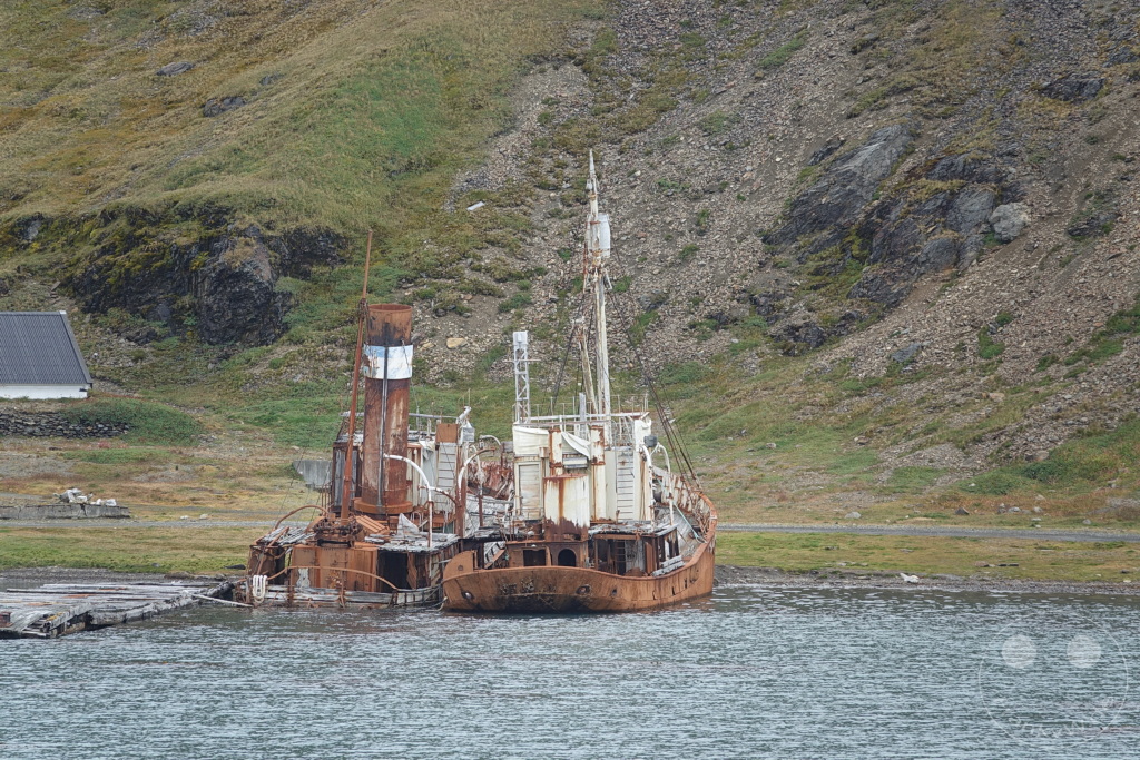 Südgeorgien und Südliche Sandwichsinseln - Grytviken