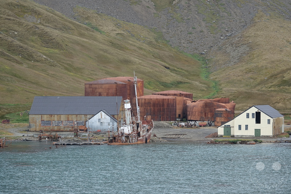 Südgeorgien und Südliche Sandwichsinseln - Grytviken