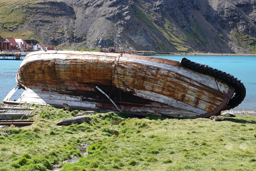 Südgeorgien und Südliche Sandwichsinseln - Grytviken
