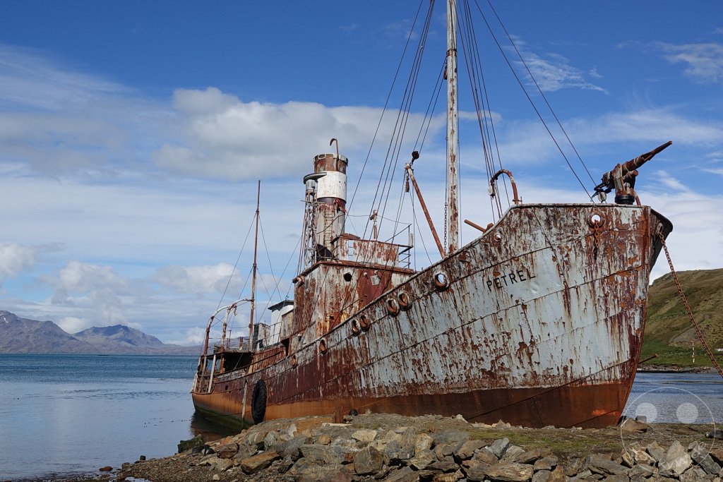 Südgeorgien und Südliche Sandwichsinseln - Grytviken