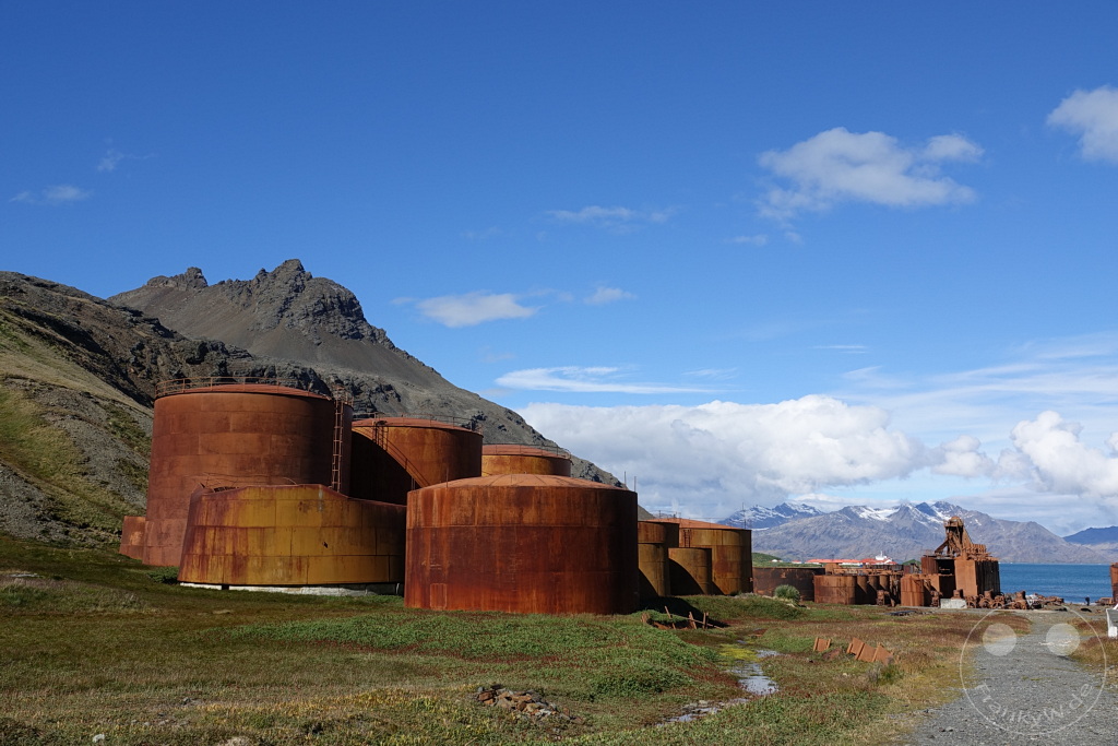 Südgeorgien und Südliche Sandwichsinseln - Grytviken