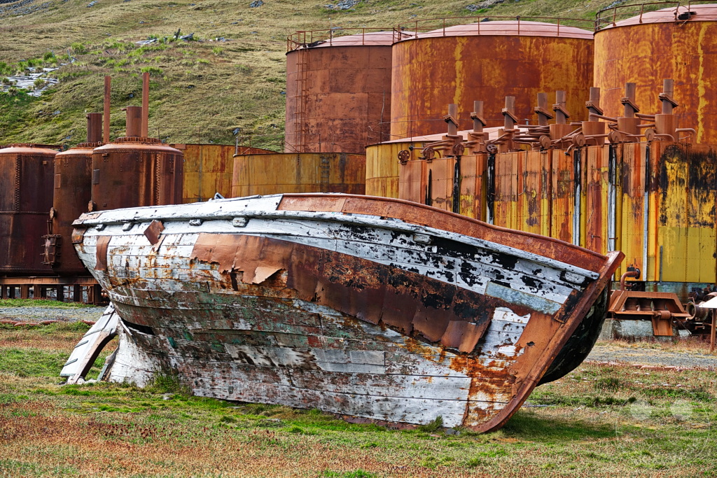 Südgeorgien und Südliche Sandwichsinseln - Grytviken