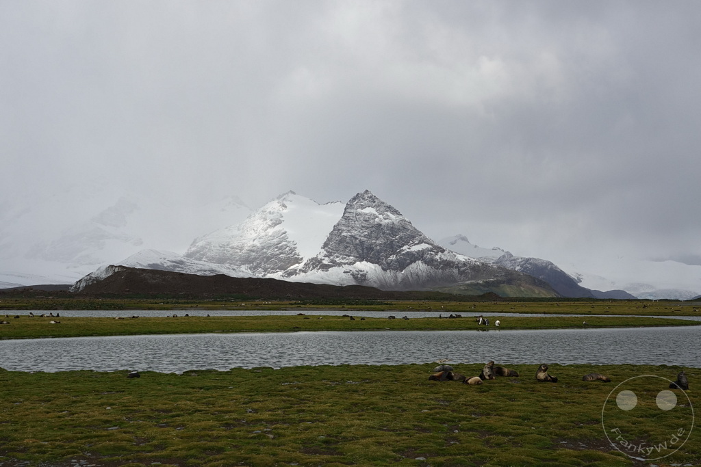 Südgeorgien und Südliche Sandwichsinseln - Sunset-Fjord