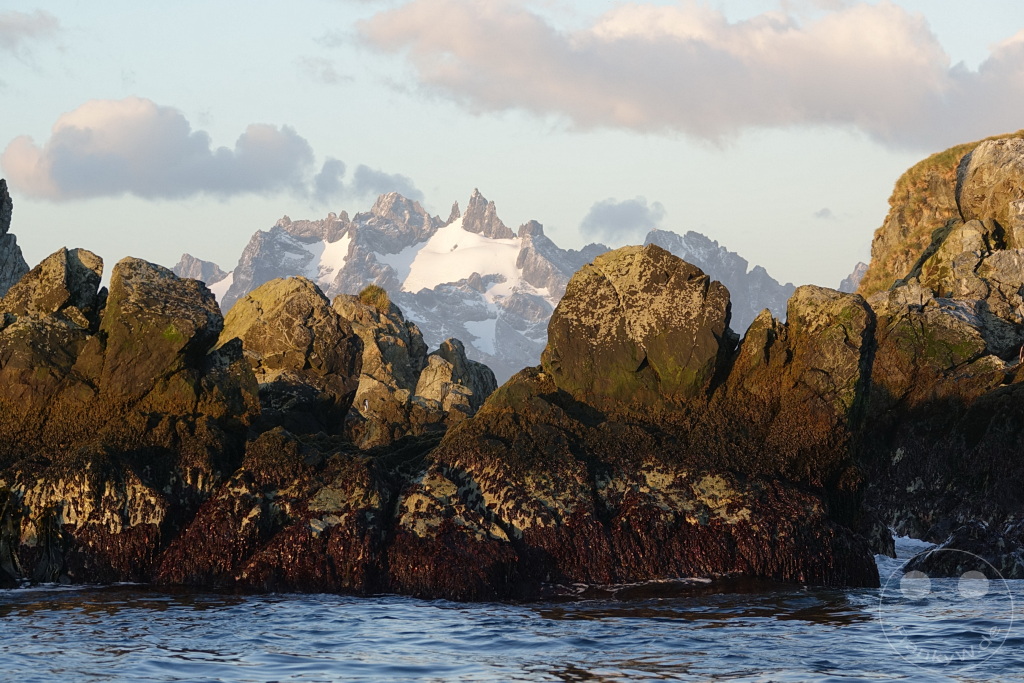 Südgeorgien und Südliche Sandwichsinseln - Cooper Bay