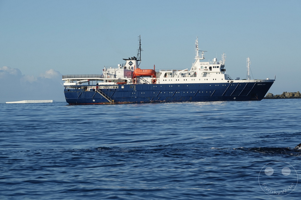 Südgeorgien und Südliche Sandwichsinseln - Cooper Bay