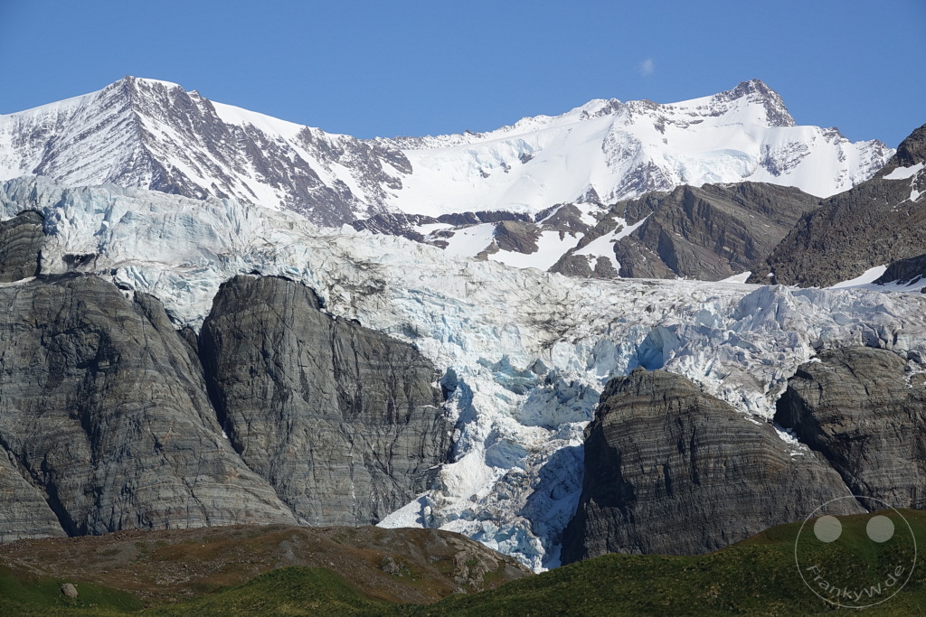 Südgeorgien und Südliche Sandwichsinseln - Gold Harbour