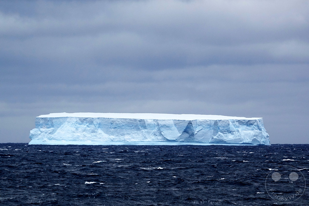 Antarktis - auf dem Meer