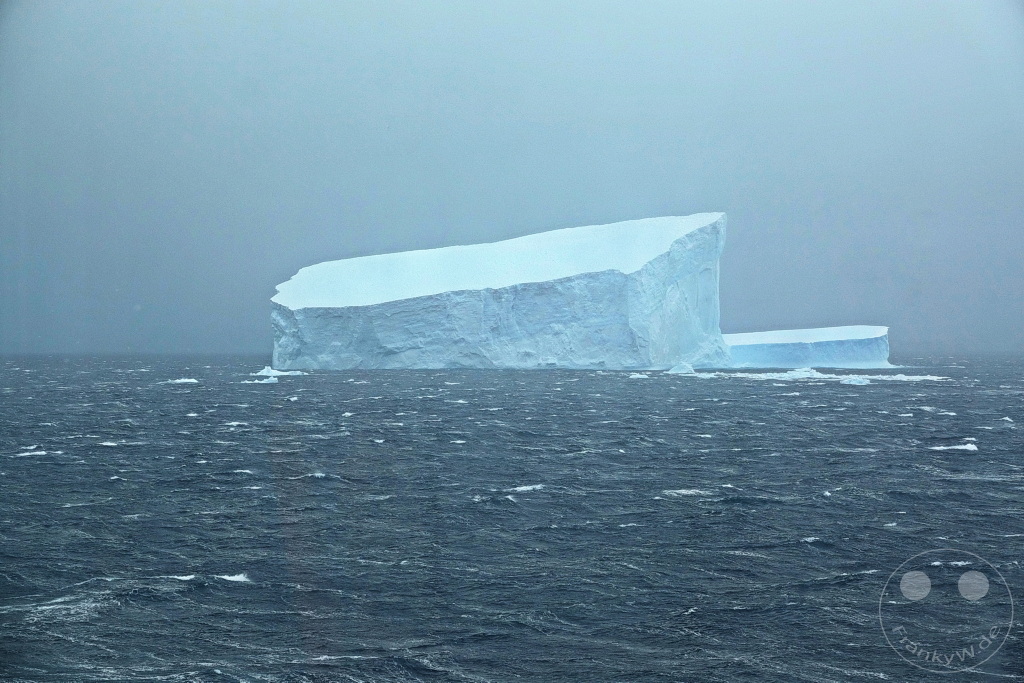 Antarktis - Elephant Island