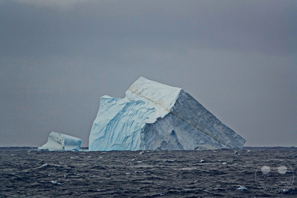 Antarktis - Elephant Island