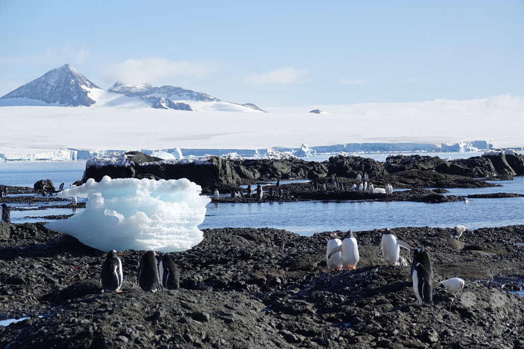 Antarktis - Fortín Sgto Cabral