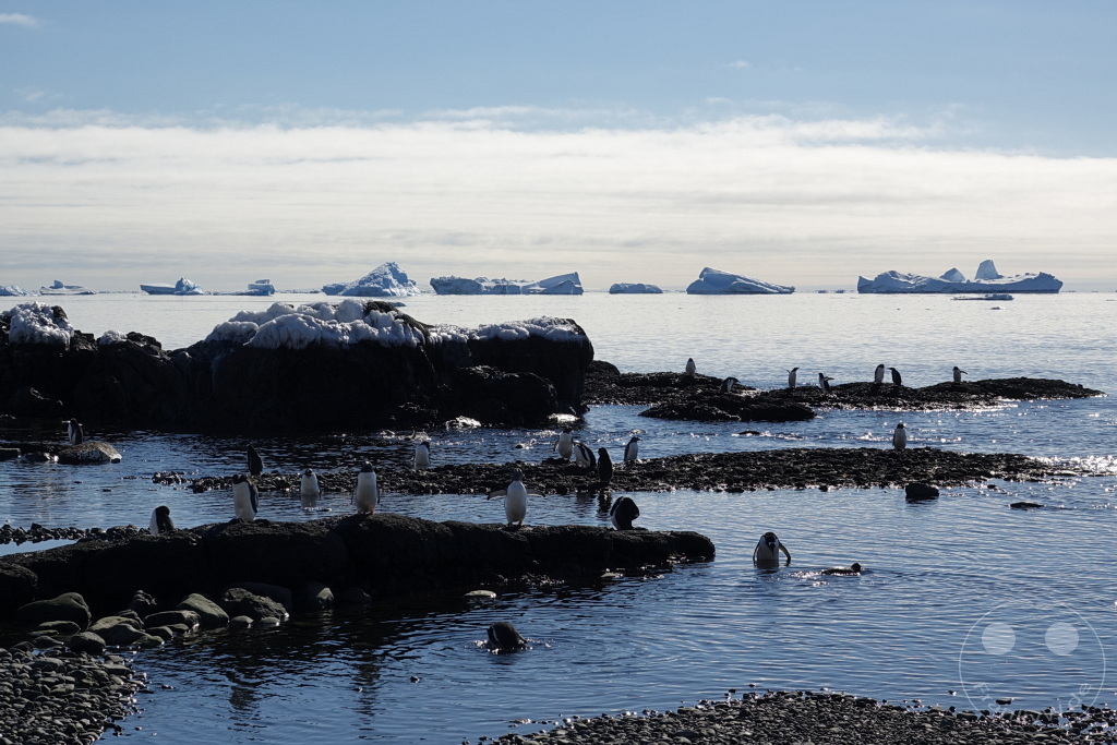 Antarktis - Fortín Sgto Cabral
