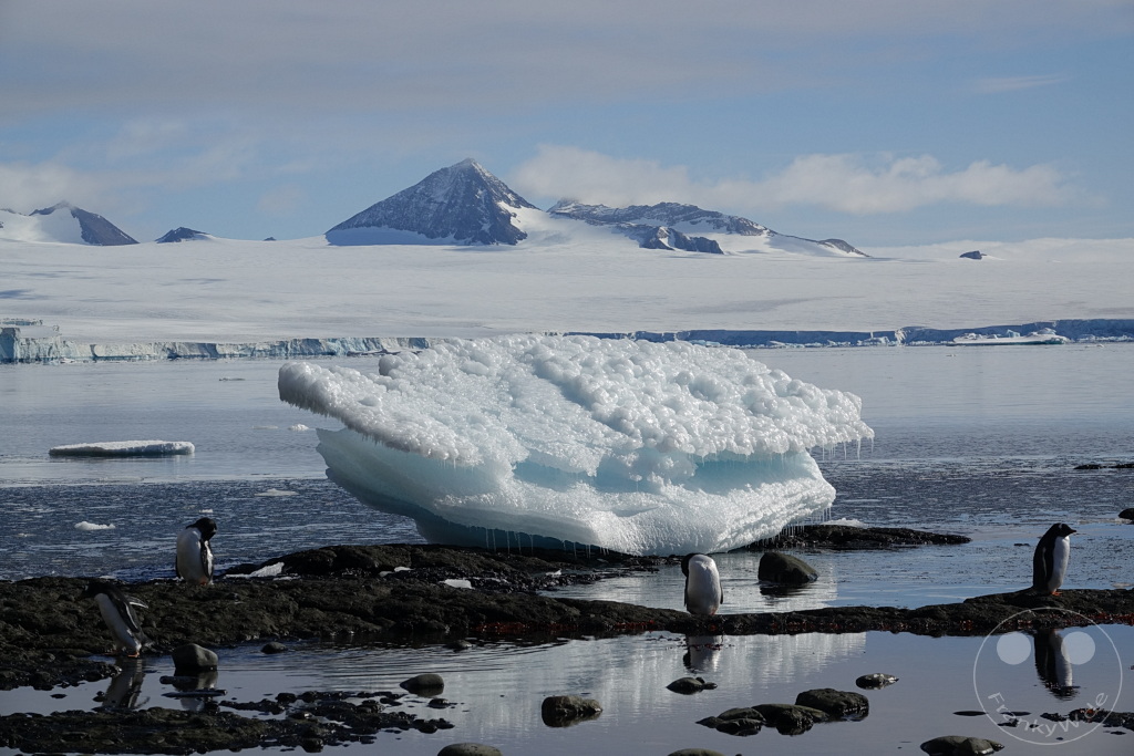 Antarktis - Fortín Sgto Cabral