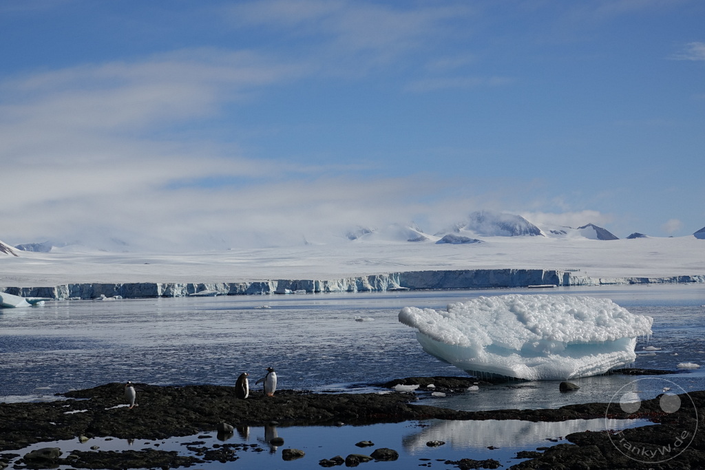 Antarktis - Fortín Sgto Cabral