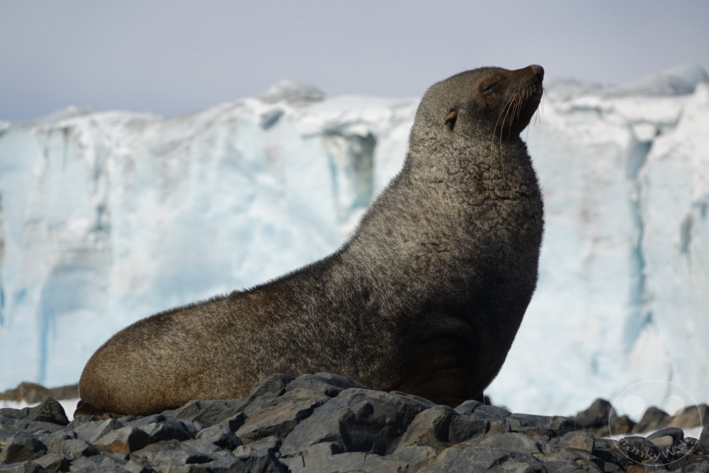 Antarktis - Fortín Sgto Cabral