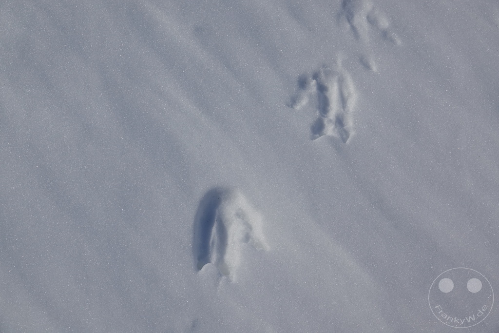 Antarktis - Fortín Sgto Cabral