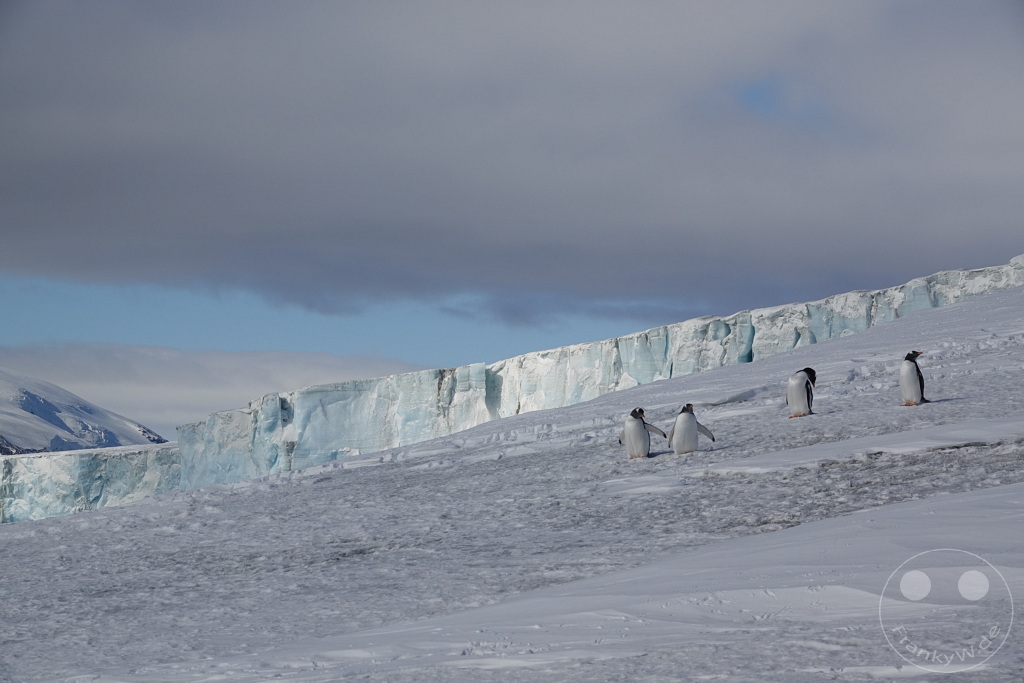 Antarktis - Fortín Sgto Cabral