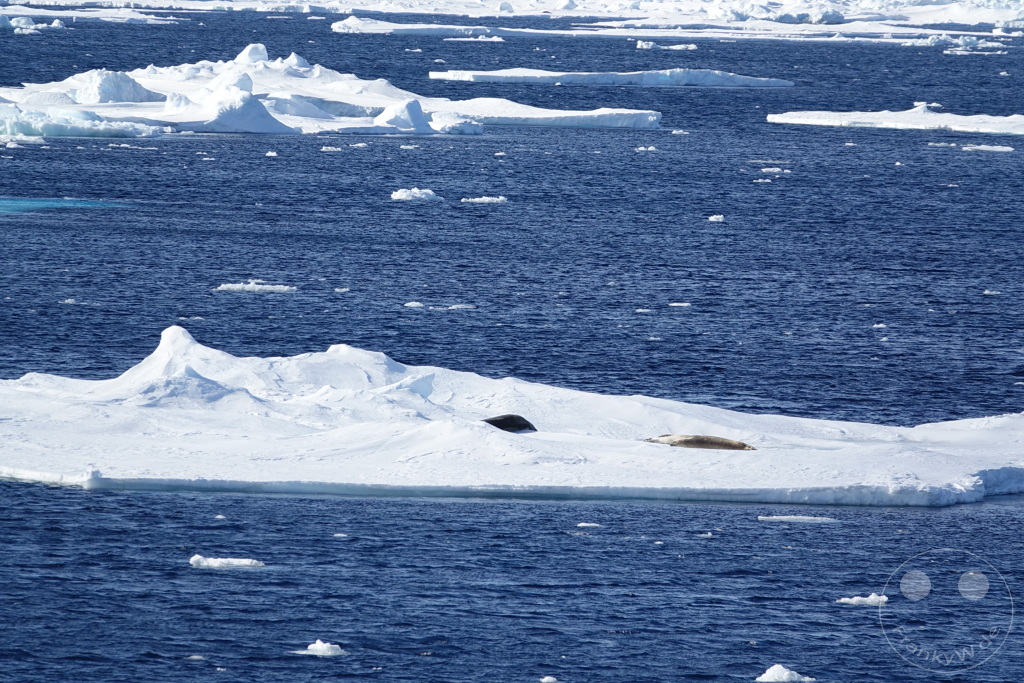 Antarktis - Fortín Sgto Cabral