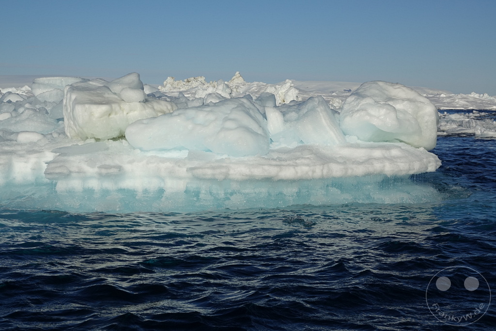 Antarktis - Fortín Sgto Cabral