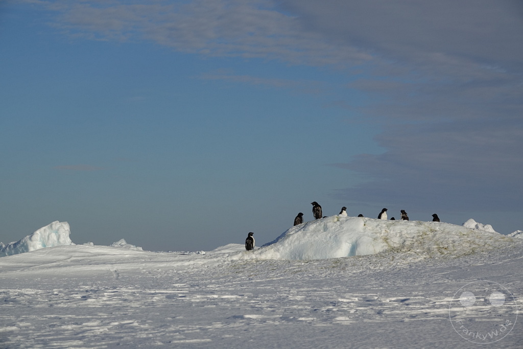 Antarktis - Fortín Sgto Cabral
