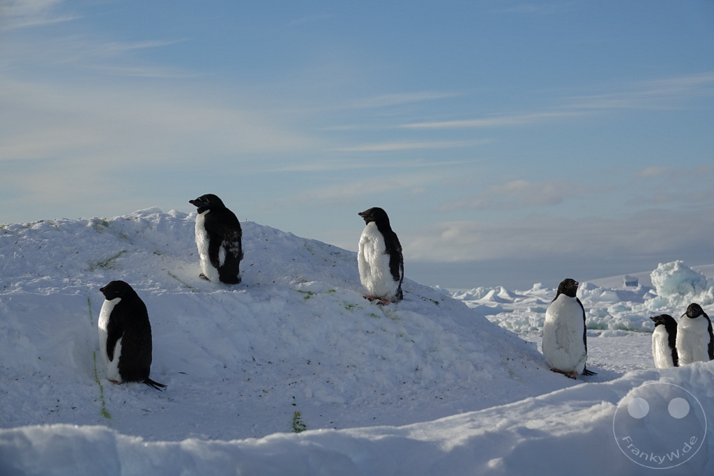 Antarktis - Fortín Sgto Cabral