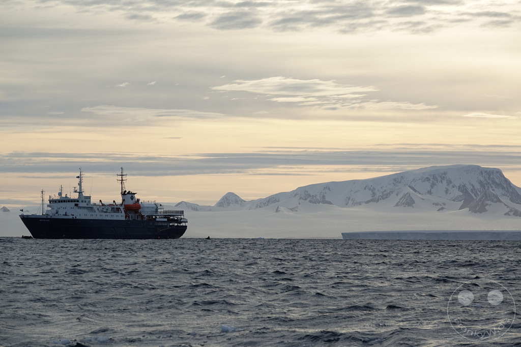 Antarktis - Fortín Sgto Cabral