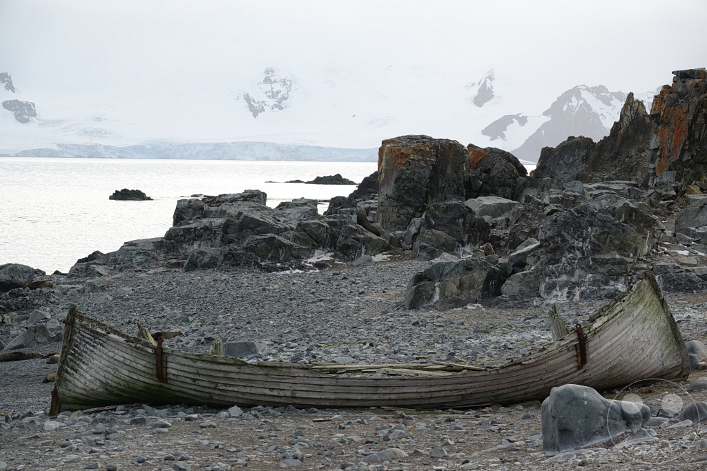 Antarktis - Half Moon Island