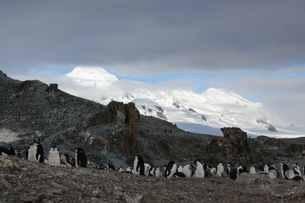 Antarktis - Half Moon Island