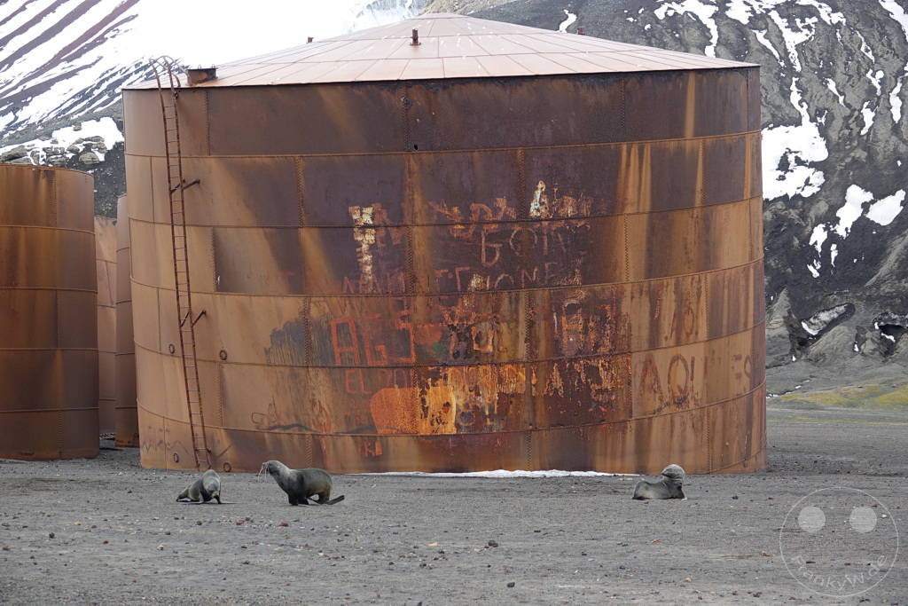 Antarktis - Deception Island