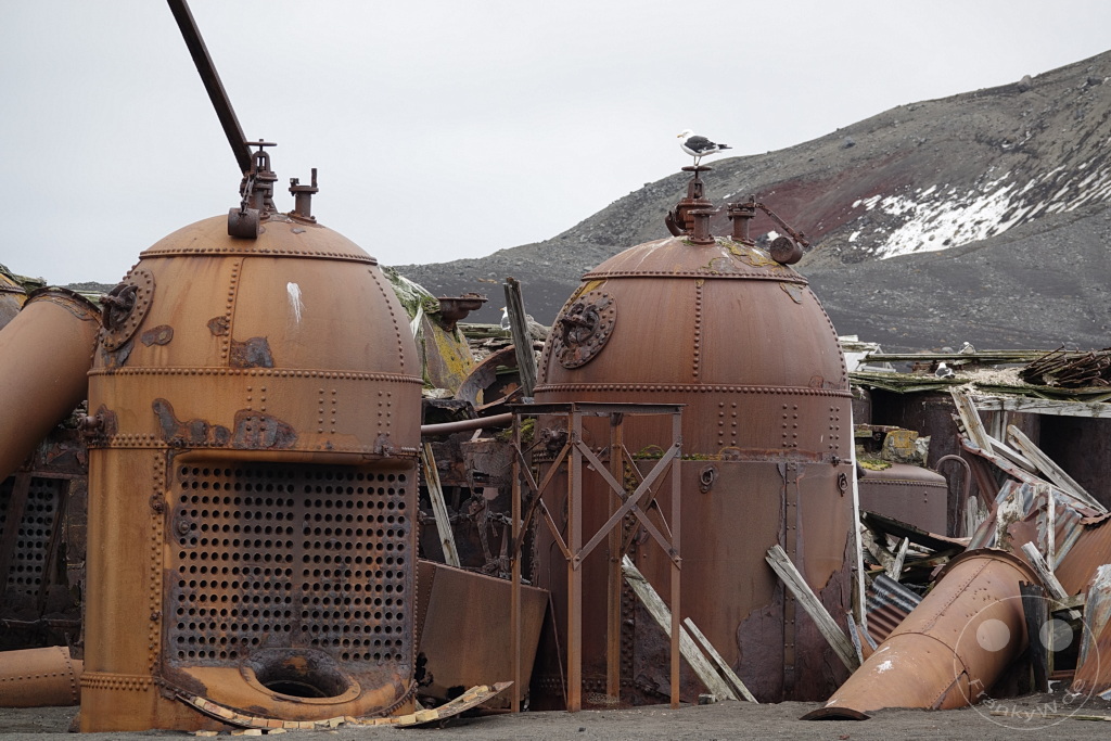 Antarktis - Deception Island