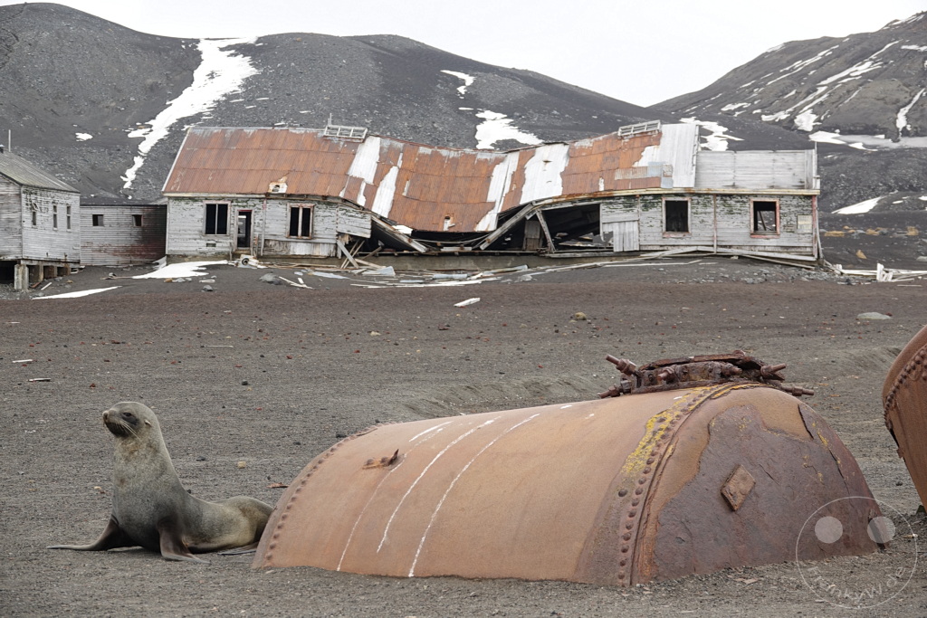 Antarktis - Deception Island