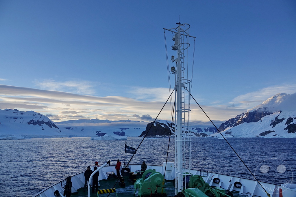 Antarktis - Cuverville Island