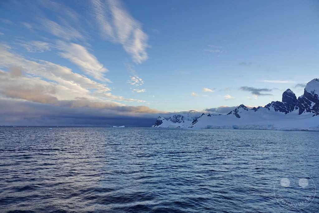 Antarktis - Cuverville Island