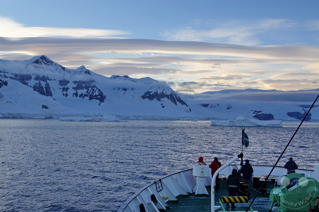 Antarktis - Cuverville Island