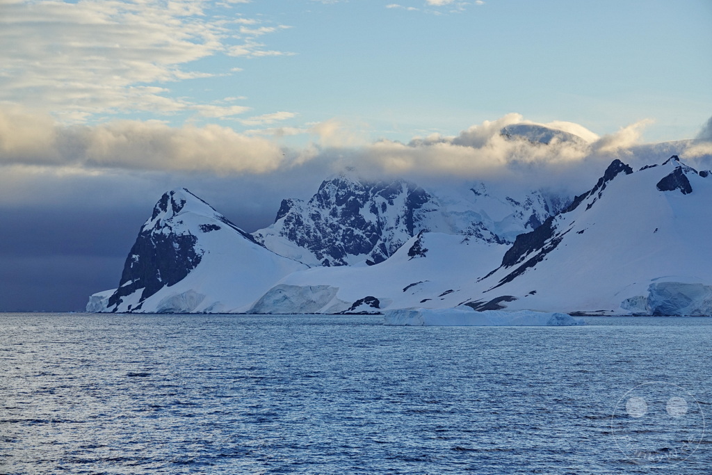 Antarktis - Cuverville Island