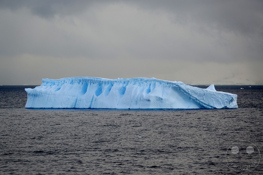 Antarktis - Cuverville Island