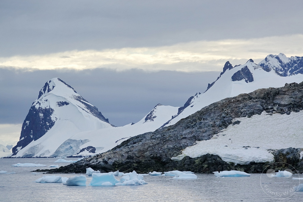 Antarktis - Cuverville Island