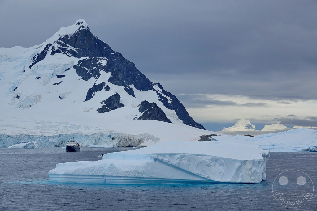 Antarktis - Cuverville Island